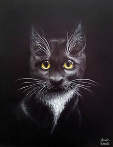 Black Cat - Watercolour pencil on black paper