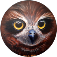 'Kukumat' - Boobook Owl (Mopoke) (Ninox novaeseelandiae). Oil on panel