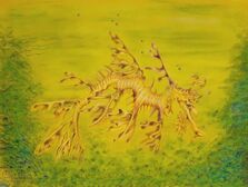 Leafy Seadragon (Phycodurus eques). Watercolour