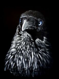 'The Morrigan' - Australian Raven, pastel on black mat, 45x32 cms.