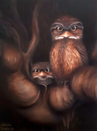 'Rock-a-bye Tawny', Oil on canvas 45x60. Tawny Frogmouth (Podargus Strigoides) 